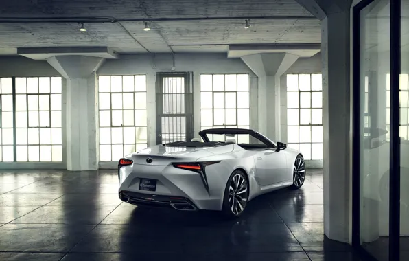White, Lexus, back, convertible, 2019, LC Convertible Concept