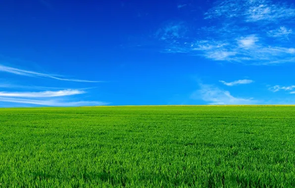 Field, the sky, landscape, horizon