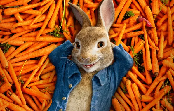 Happiness, cartoon, rabbit, lies, vegetables, poster, carrots, a bunch