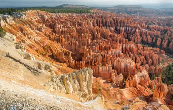 Picture Utah, USA, Utah, Garfield County