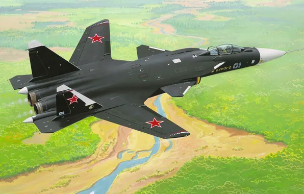 Picture figure, fighter, Su-47, Eagle, C-37, Firkin, the forward-swept wing