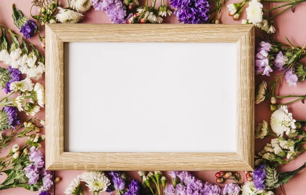 Flowers, background, spring, frame, Board, pink, flowers, background