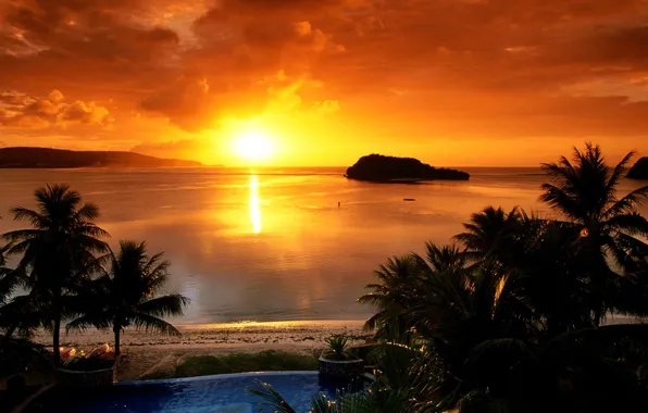 Sunset, Bay, Palm trees