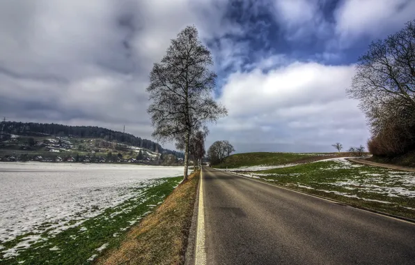 Road, trees, landscape