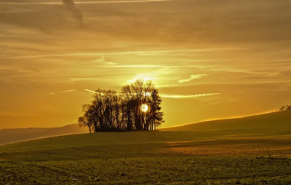 Field, landscape, sunset