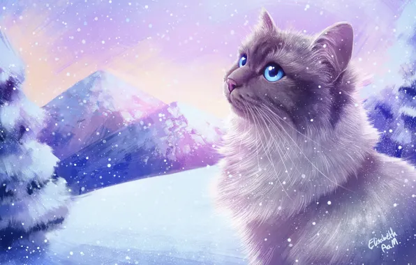 Winter, Figure, Cat, Snow, Cat, Art, Cat, Elisabeth Aarebrot Madsen