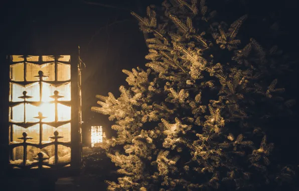 Winter, snow, night, lantern, tree
