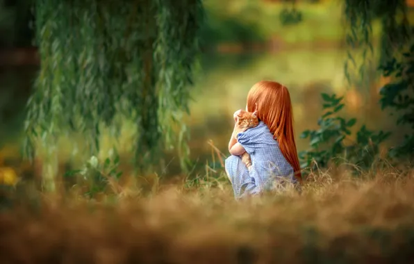 NATURE, GRASS, GREENS, GIRL, CAT, RED, photographer Yulia Taratynova