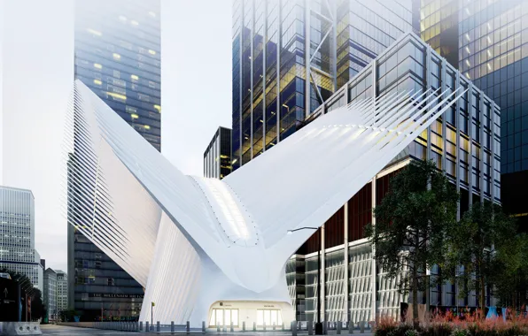 The city, building, construction, architecture, Oculus Station NY