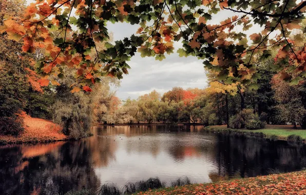 Autumn, nature, Park
