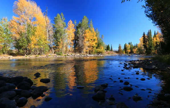 Autumn, trees, mountains, river, Wyoming, USA, Grand Teton, Grand Teton National Park
