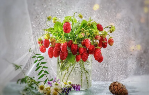 Picture summer, drops, flowers, berries, mood, strawberries, Bank, curtains
