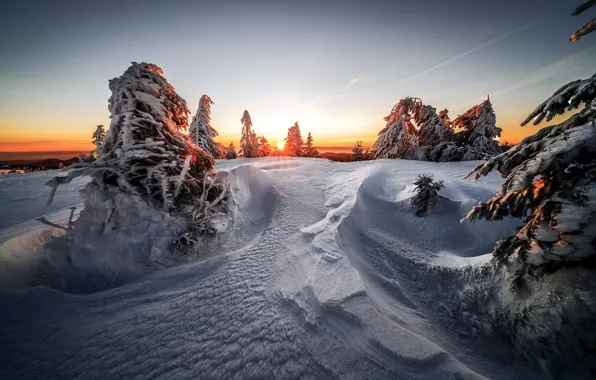 Winter, forest, the sky, the sun, light, snow, sunset, nature