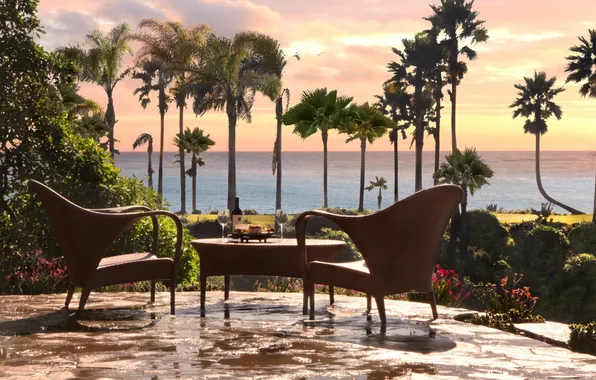 Sea, greens, the sky, trees, flowers, palm trees, table, furniture