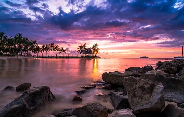 Picture the sky, the sun, clouds, sunset, stones, palm trees, shore, the evening