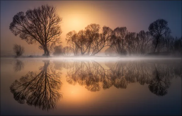 Picture trees, reflection, pond