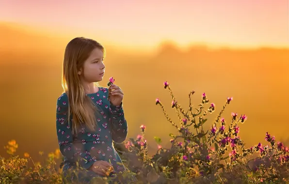Picture flowers, nature, girl