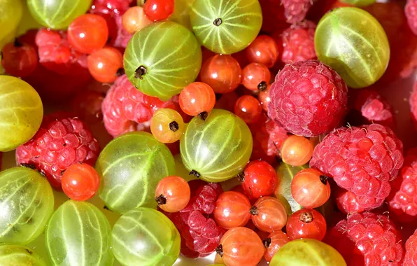 Berries, raspberry, red, a lot, currants, gooseberry, summer, Asorti