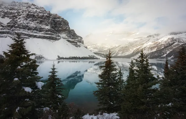 Winter, forest, clouds, snow, mountains, lake, reflection, shore