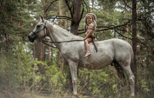 Picture forest, horse, boy