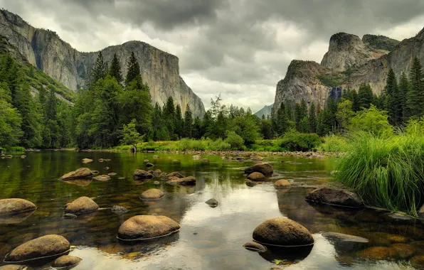 Forest, mountains, nature, river, stones, grey, day