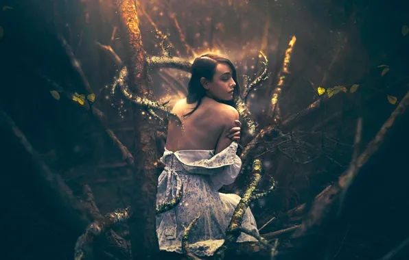 Forest, girl, fantasy, art, Shelby Robinson, In the Wake of Fear