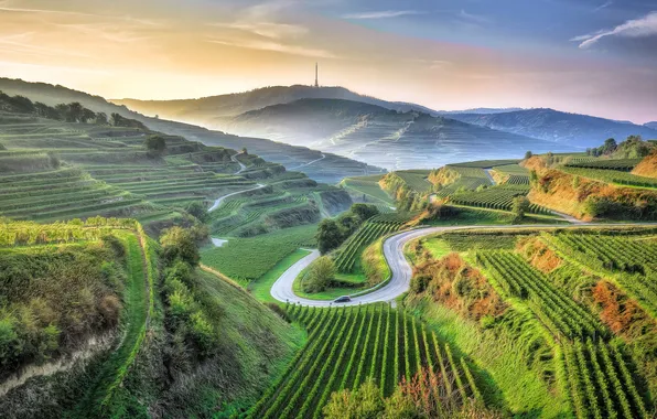 Road, field, mountains, beauty, valley, horizon, farmland, Kaiserstuhl