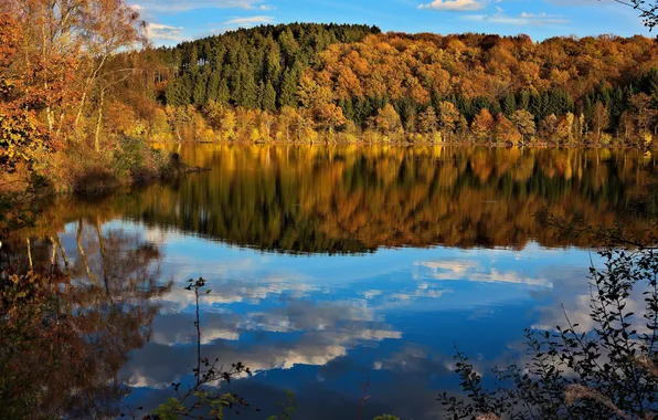 Picture autumn, forest, the sky, trees, lake