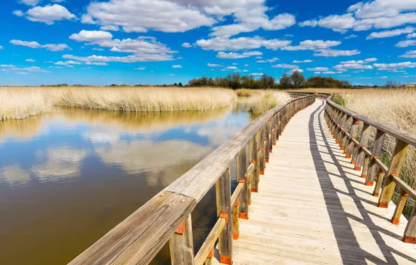 Picture the sky, water, clouds, the bridge, Spain, the plain of La Mancha, National Park Tablas …