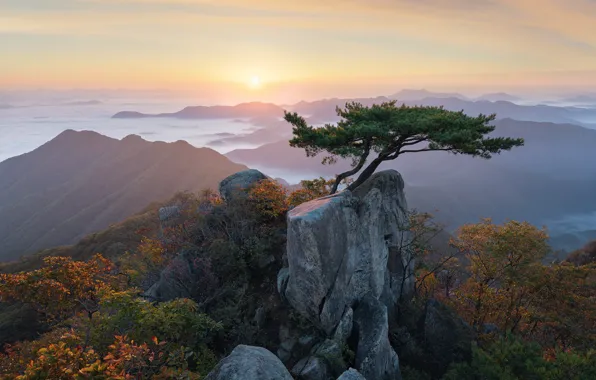 Clouds, landscape, mountains, nature, tree, dawn, morning, Korea