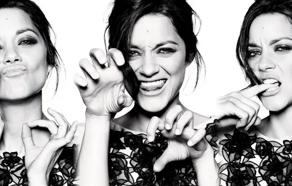 Wallpaper actress, Marion Cotillard for mobile and desktop, section