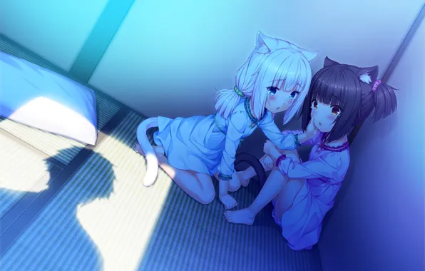 Night, Children, Light, Room, Girls, Nekopara