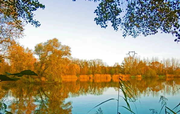 Picture autumn, reflection, trees, lake, Nature, trees, nature, autumn