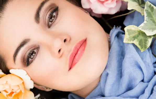 Look, flowers, close-up, roses, beauty, close-up, brown eyes, flowers