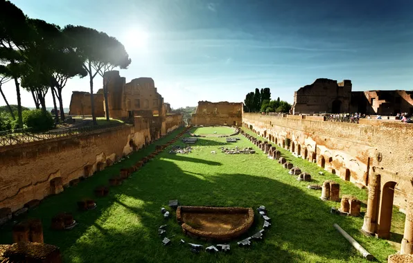 Picture the sky, the sun, trees, shadow, Rome, Colosseum, Italy, architecture