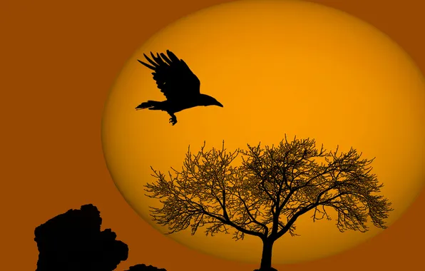 The sky, the sun, sunset, tree, bird, stone, silhouette