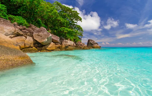 Sea, the sky, clouds, trees, tropics, stones, shore, horizon