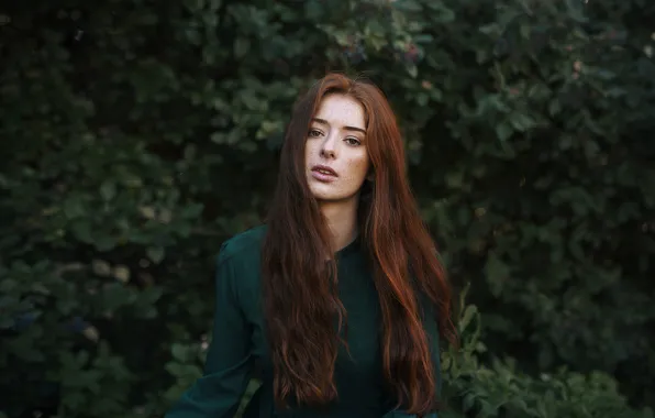 Wallpaper face, background, hair, brown hair, Eva for mobile and ...