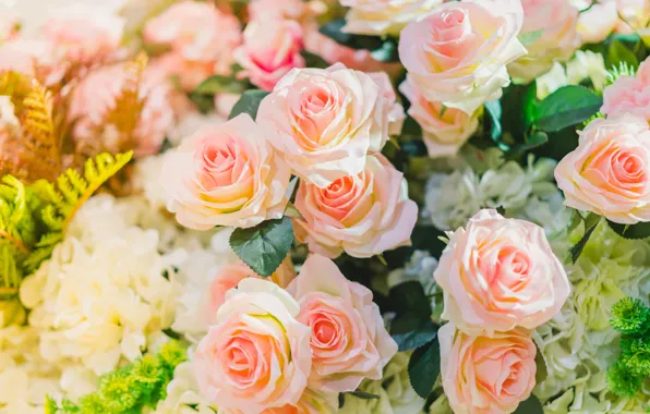 Wallpaper greens, leaves, roses, flowers, roses, daylight