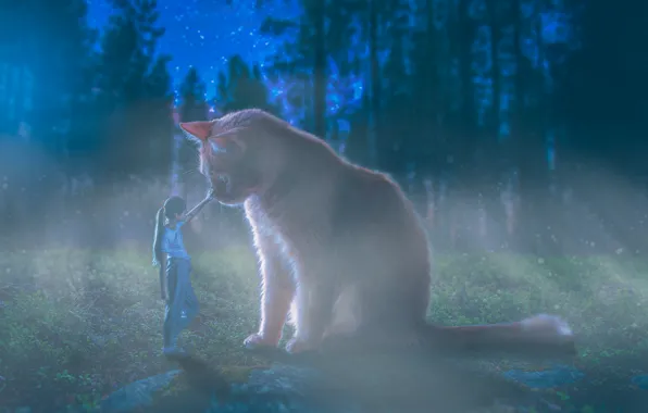 FOREST, NATURE, NIGHT, GIRL, CAT, TREES, SIZE, FOG