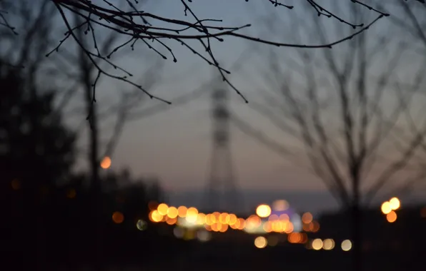 Picture nature, the city, the evening