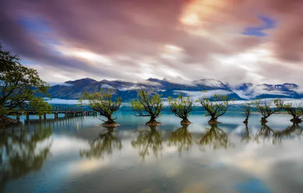 Trees, lake, pier, New Zealand, Queenstown, Wakatipu