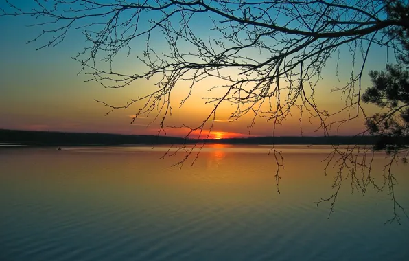 Picture the sun, sunset, river, branch, shore, calm, silence, the evening