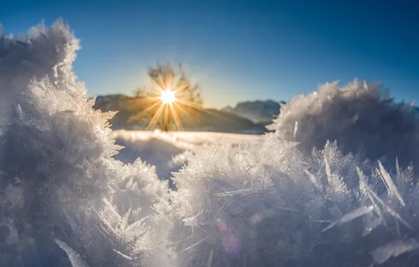 Winter, the sun, snow, nature