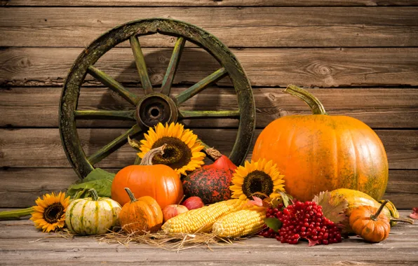Picture autumn, harvest, pumpkin, still life, vegetables, autumn, still life, pumpkin