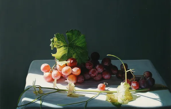 Light, berries, table, shadow, picture, art, grapes, still life