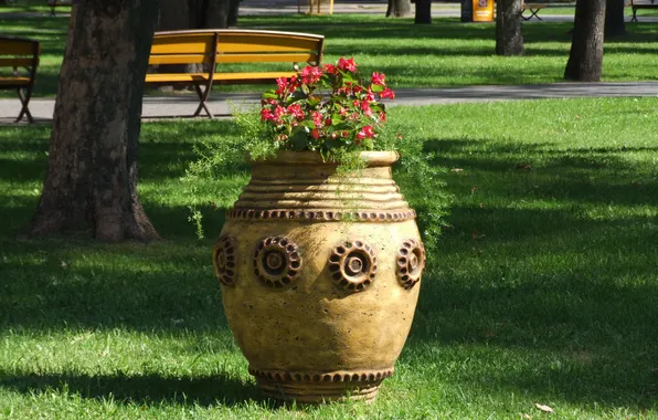 Greens, summer, flowers, Park, flowerbed, square