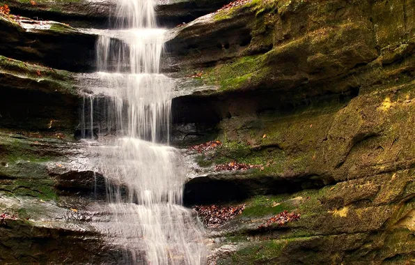 Stream, waterfall, moss, cascade