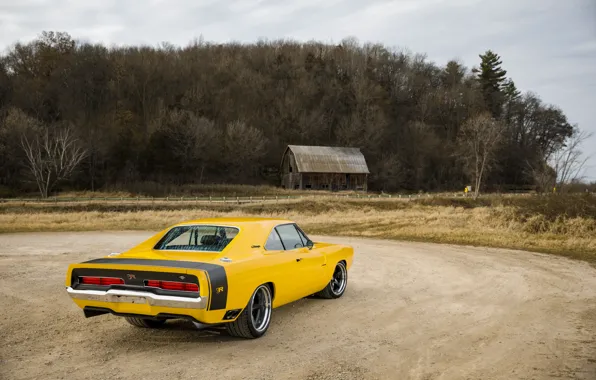 1969, Dodge, House, Charger, Yellow, Dodge Charger, Road, Rear