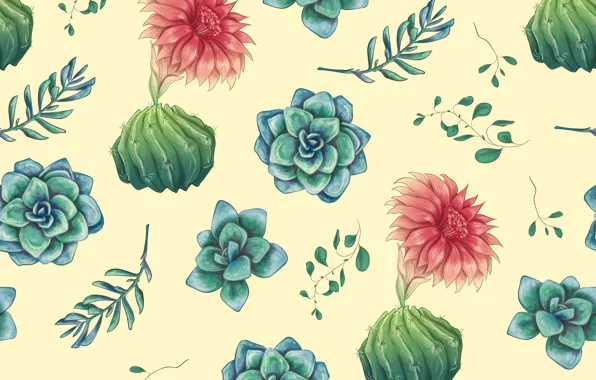 Leaves, flowers, background, texture, cacti